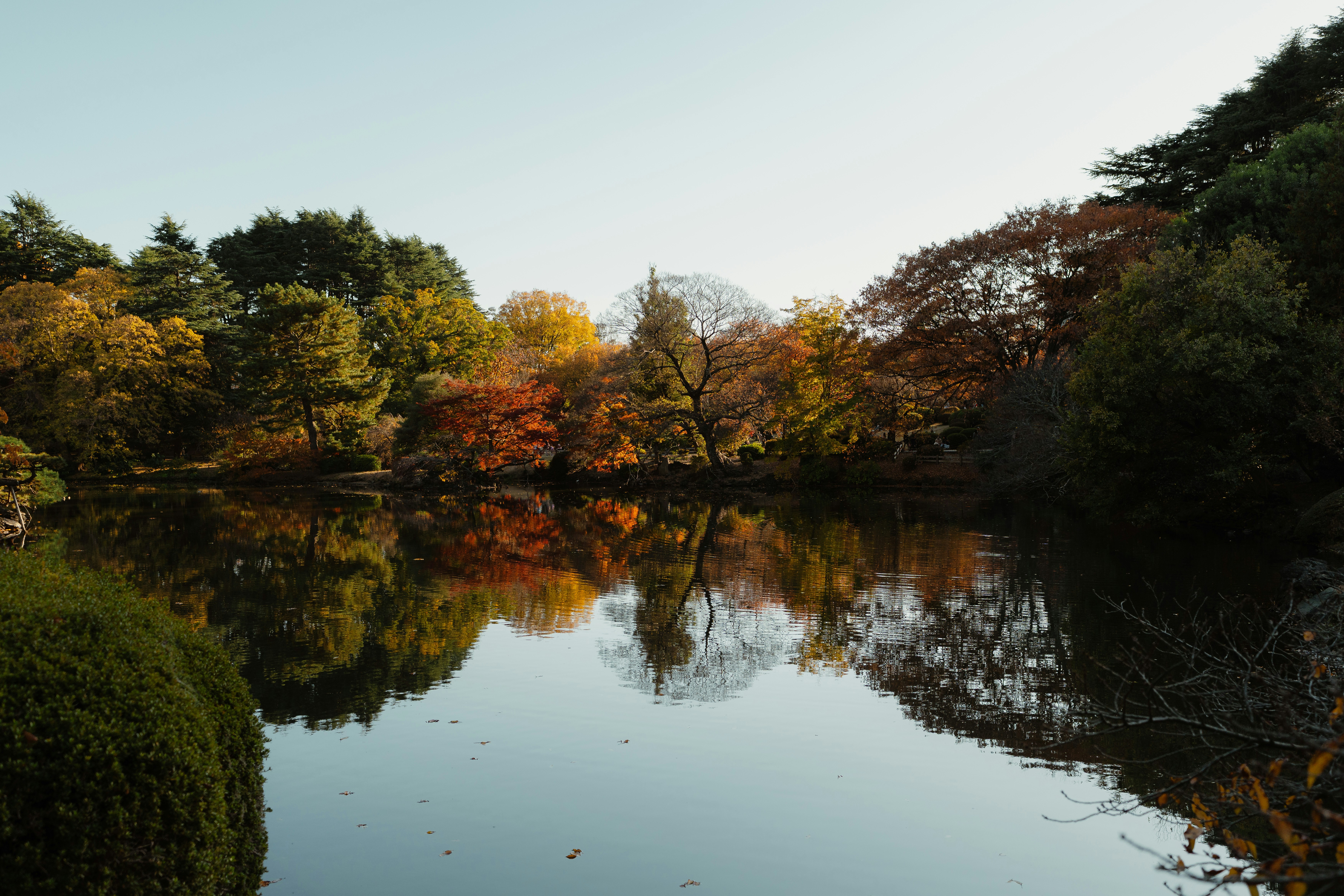 秋の東京、紅葉の風景
